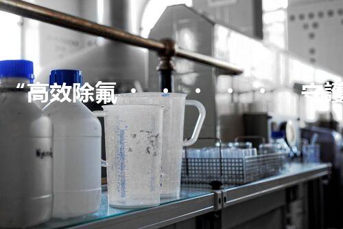 “高效除氟，守護(hù)碧水藍(lán)天——廢水中氟離子處理新篇章”